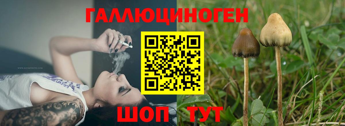 Петрозаводск  Галлюциногенные грибы Magic Shrooms  Вход с VPN 